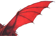 The Dragon Wing