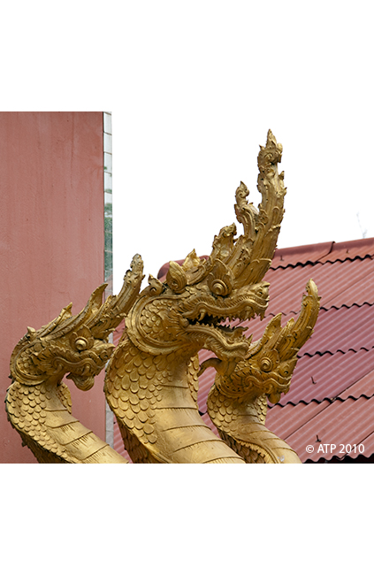 Thailand_Dragon-2-draconian.jpg