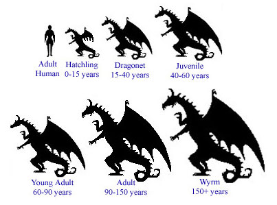 Learn About Dragon Life Cycle From Draconian